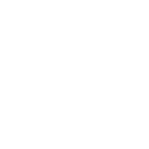 decathlon