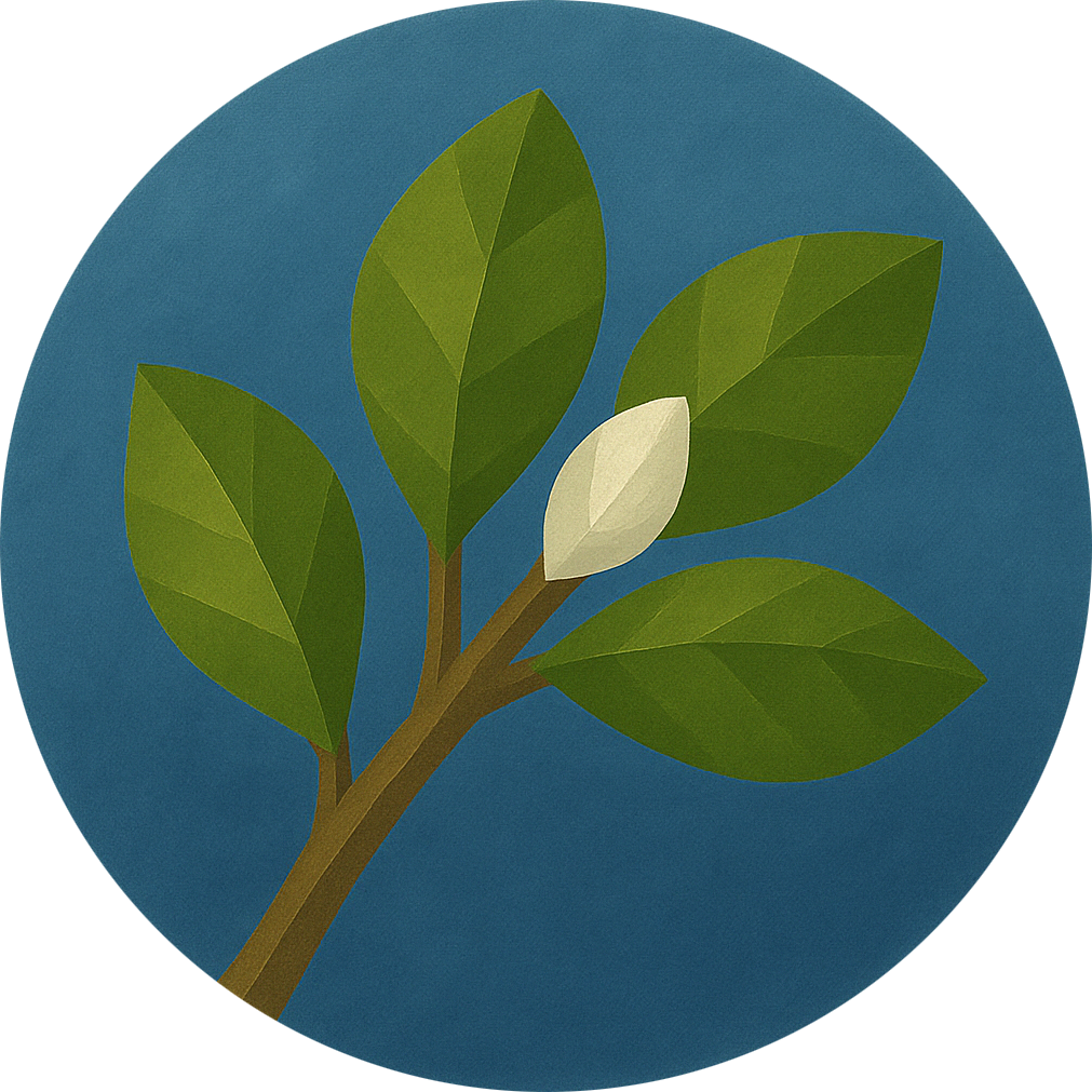 bud-spring-nature