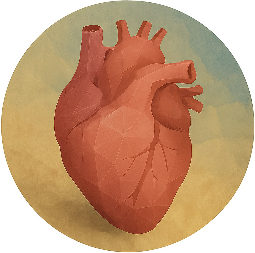 heart-organ-life